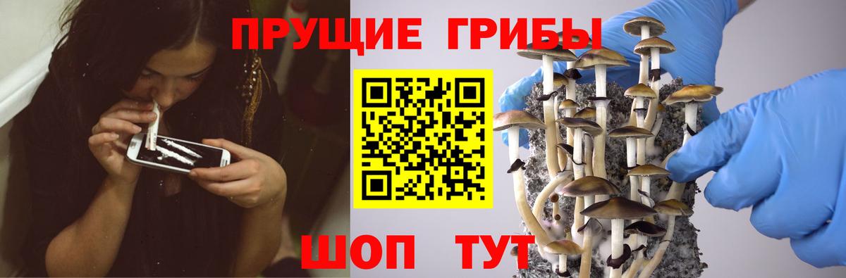 Армавир  Псилоцибиновые грибы Magic Shrooms  Вход с VPN  Псилоцибиновые грибы ЛСД 